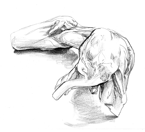 dessin plastine ULC anatomie (9)
